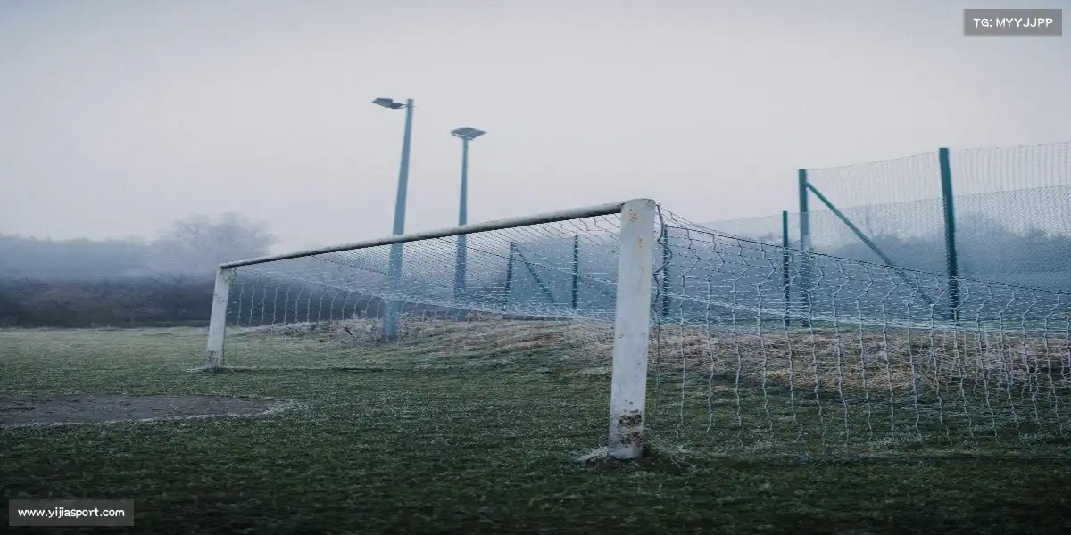 意甲赛程——💃体操腾跃，完美定格！